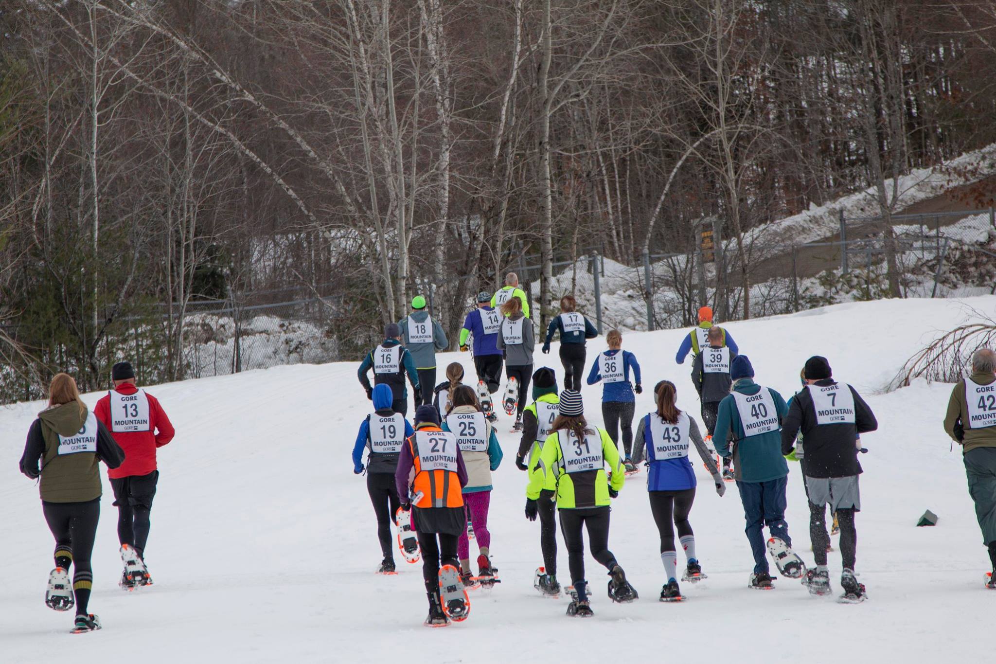 snowshoe run